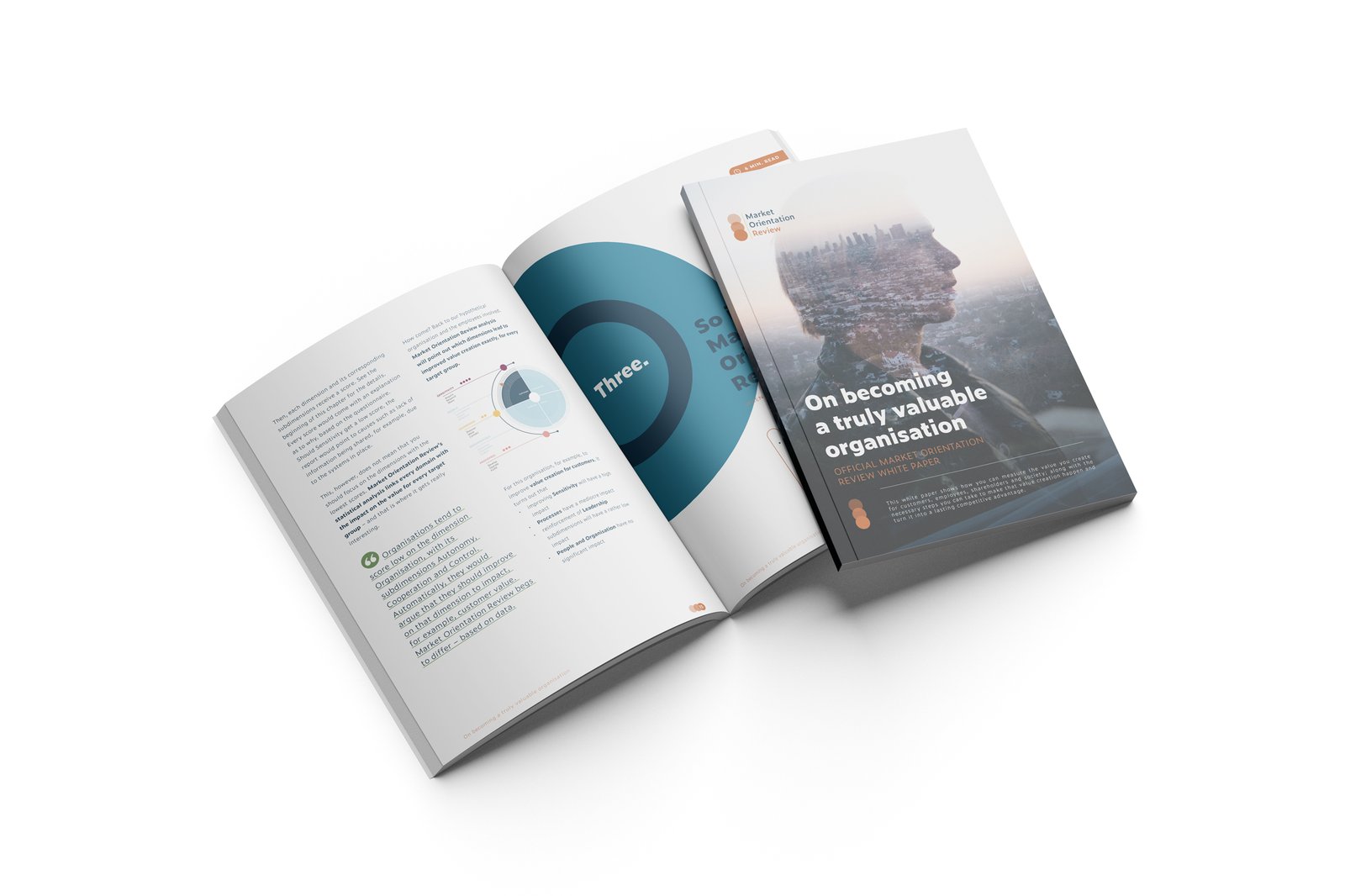 Market-Orientation-Review-white paper
